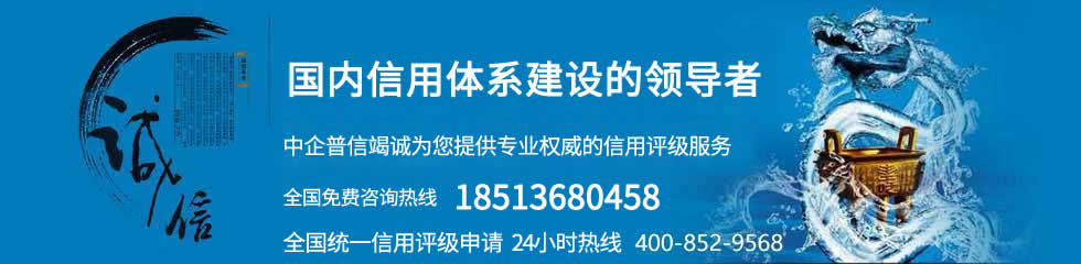 北京中企普信国际信用评价有限公司